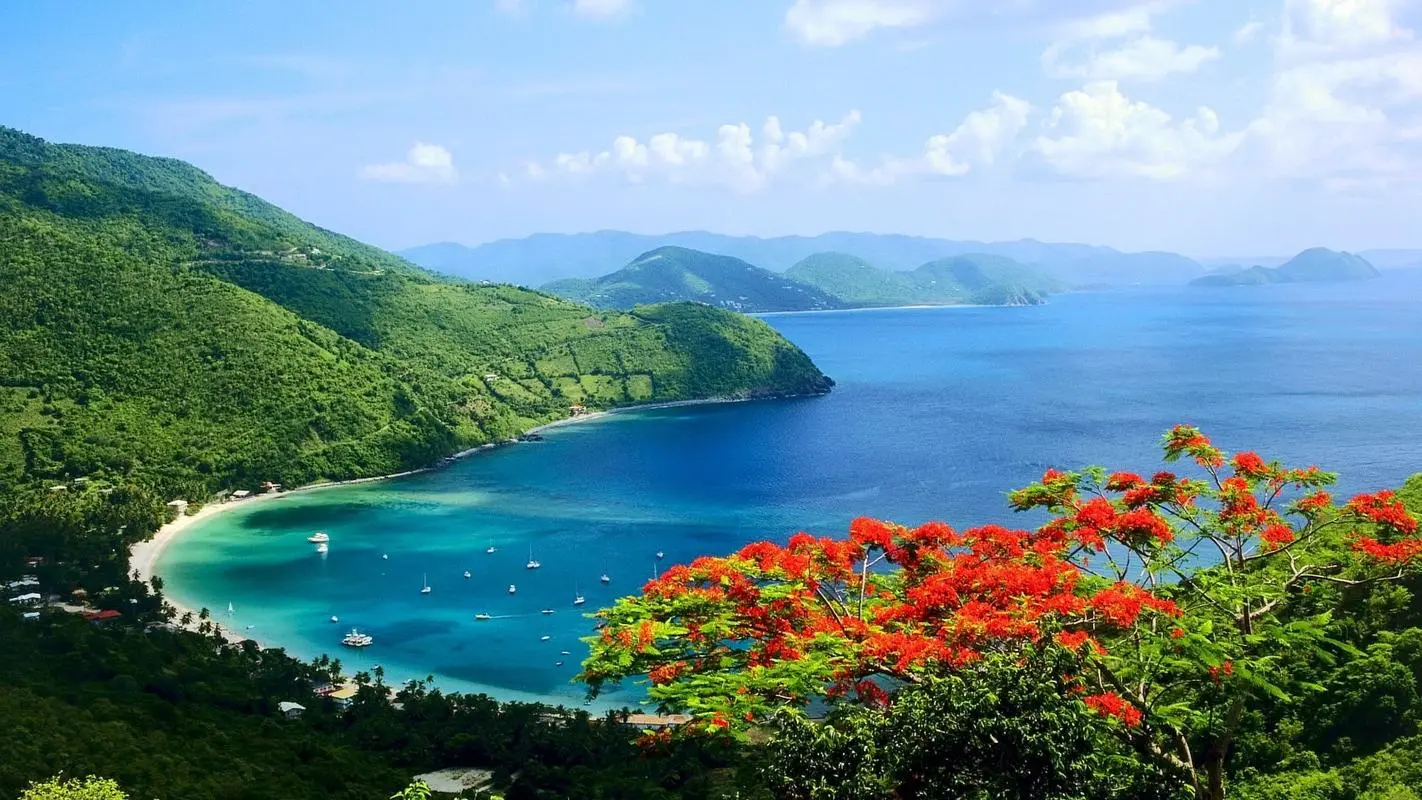高效高端创意